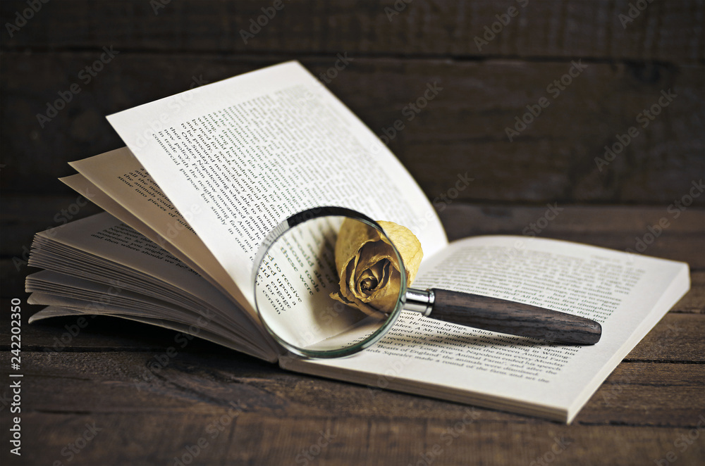 Fototapeta premium A book, a magnifying glass and a withered rose