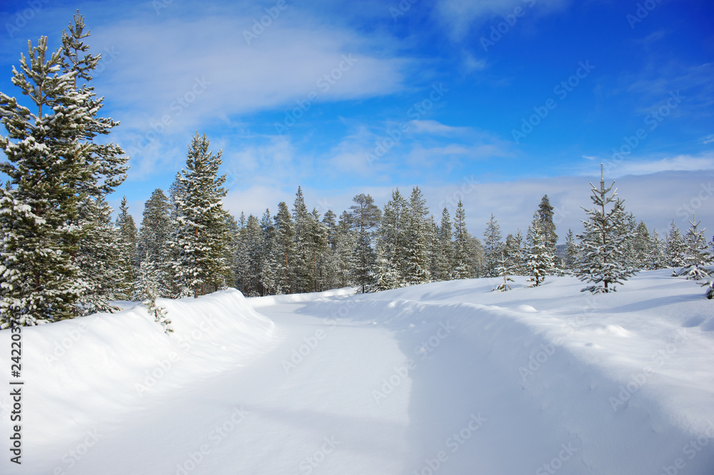 Winter landscape with country road