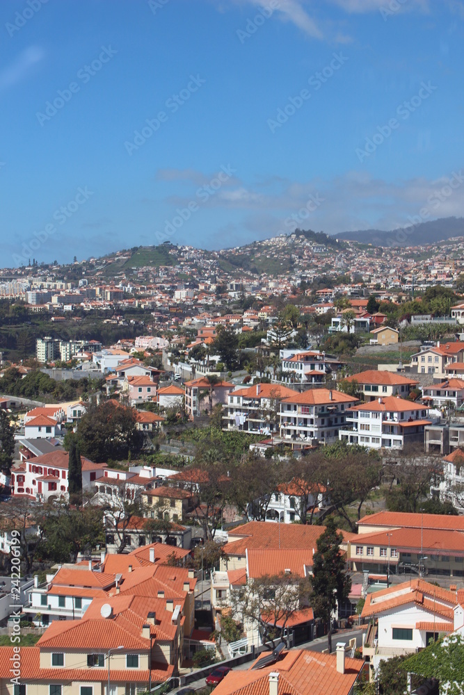 view of the city funchal madeira