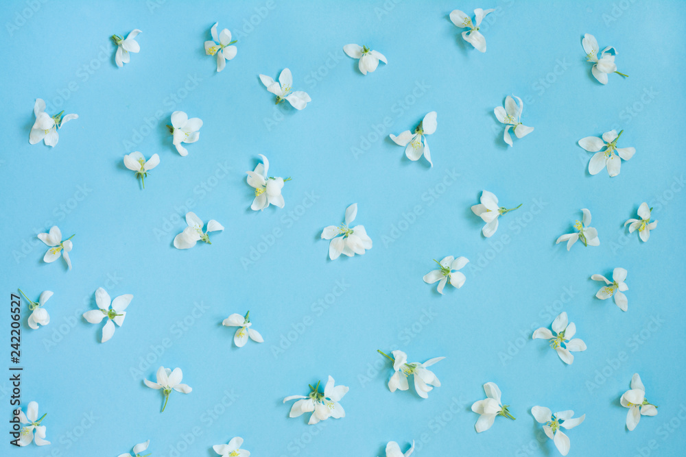 Creative pattern of white spring flower on blue. Spring concept.