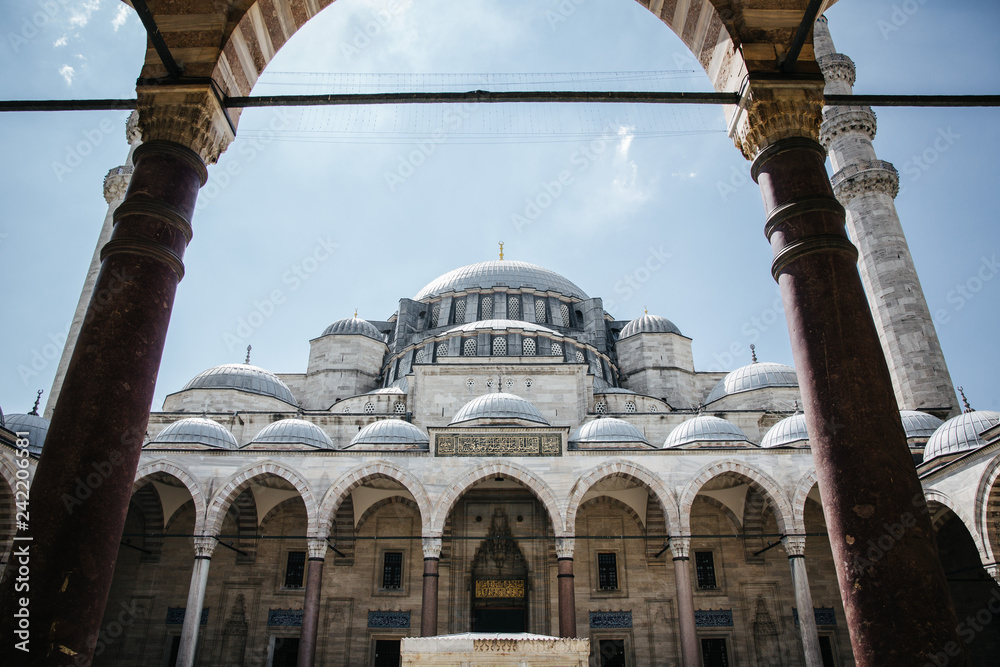 Fototapeta premium suleymaniye mosque in istanbul, turkey