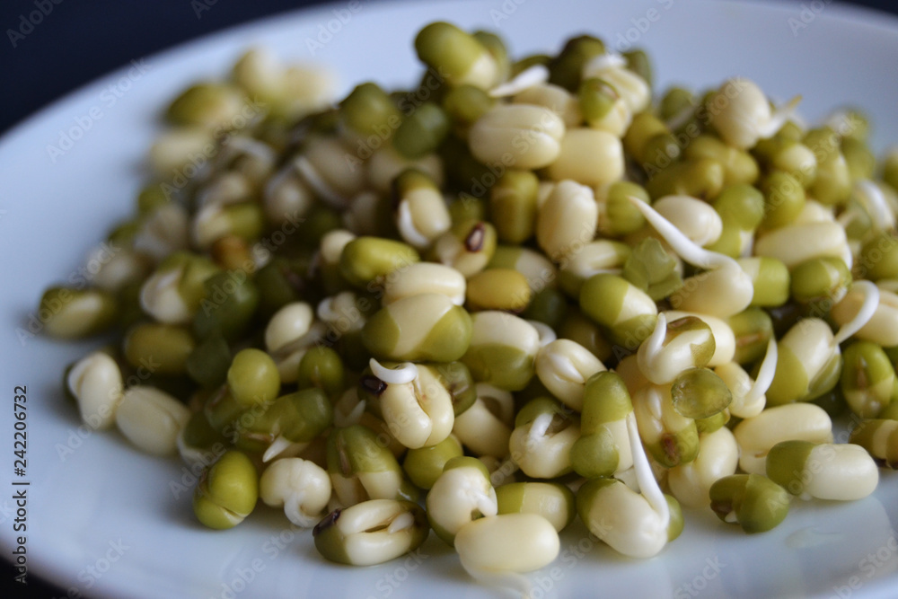 Mung bean sprouts in the white plate. fresh raw organic vegan food. Mung bean sprouts in the white plate. fresh raw organic vegan food.