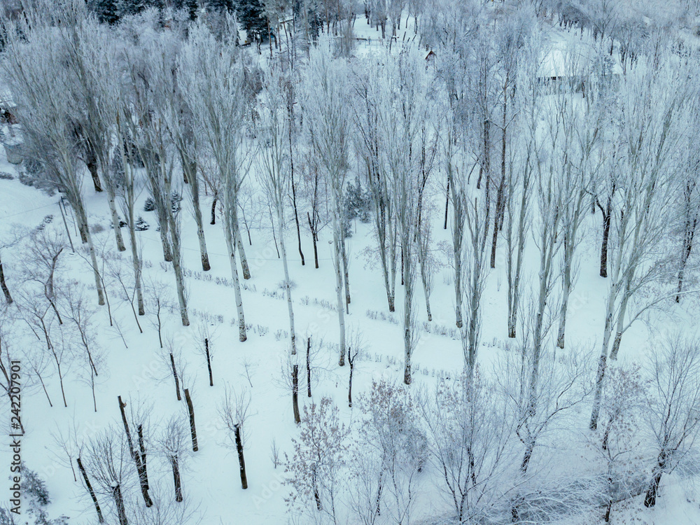 aerial top view of winter snowy forest aerial top view of winter snowy forest