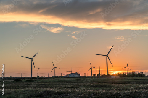 Wind turbines at sunset in Gargau, Brazil