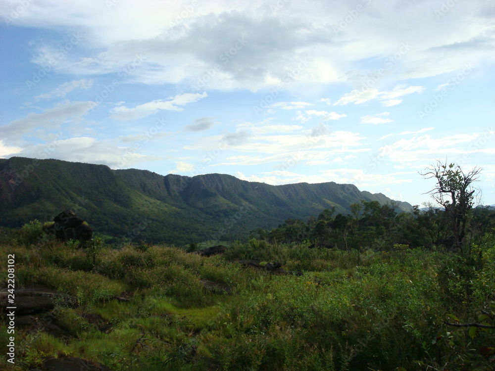 Fototapeta premium national park Chapada dos Veadeiros - Goiás - Brazil