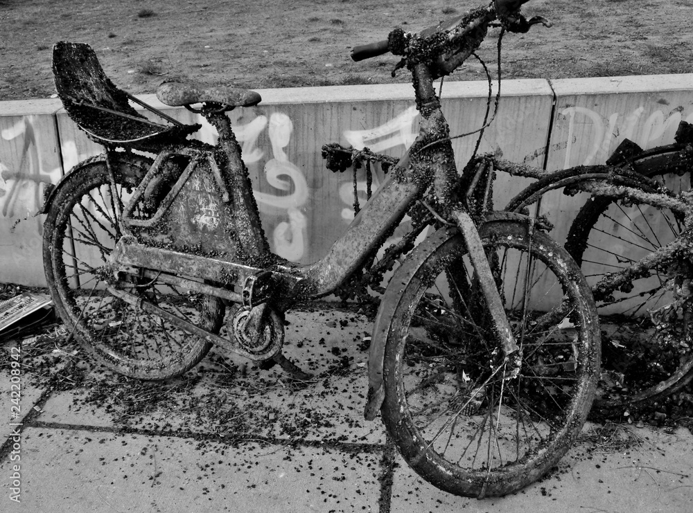 Fahrrad aus dem Wasser gefischt Fahrrad aus dem Wasser gefischt