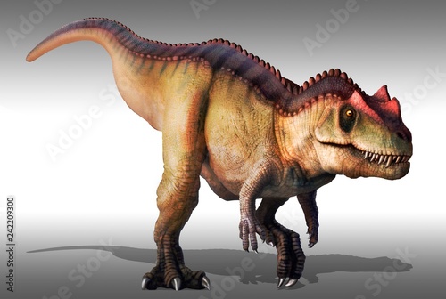 Ceratosaurus, illustration photo