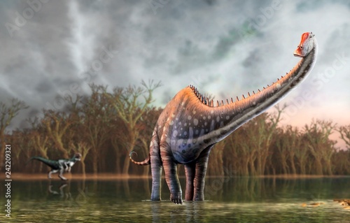 Diplodocus dinosaur, illustration