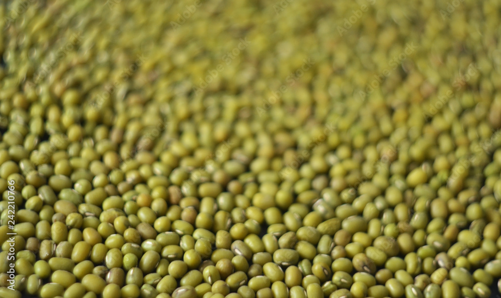 Mung bean fresh raw organic vegan food. Mung bean fresh raw organic vegan food.