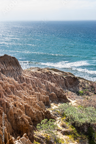 Landscape and ocean view from one of the hiking trails at Torrey Pines State Reserve and Beach in San Diego, California