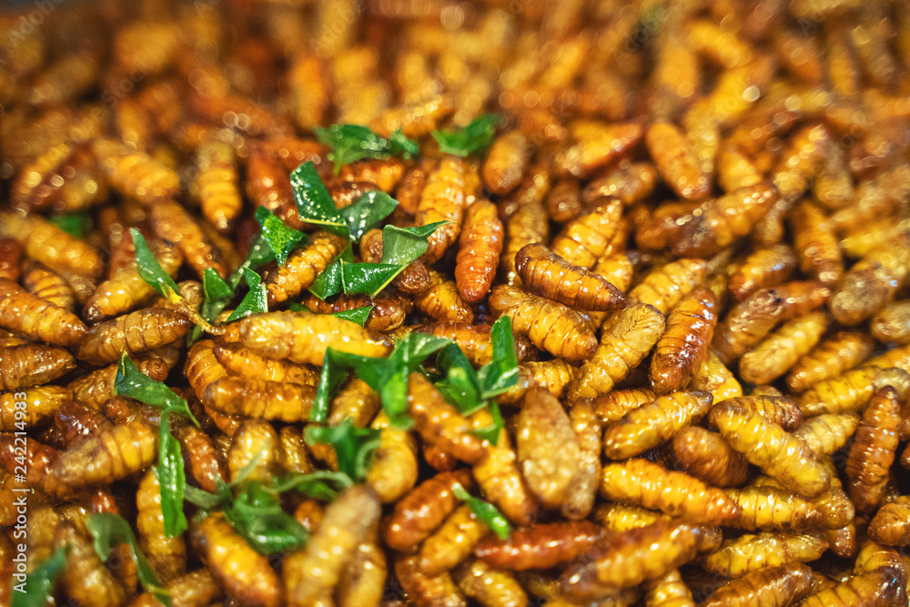 Fried insects, in the walking street market, Phuket Thailand Fried insects, in the walking street market, Phuket Thailand