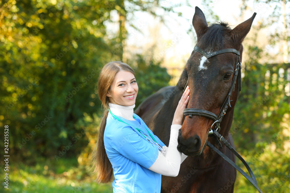 Obraz premium Veterinarian in uniform with beautiful brown horse outdoors. Space for text