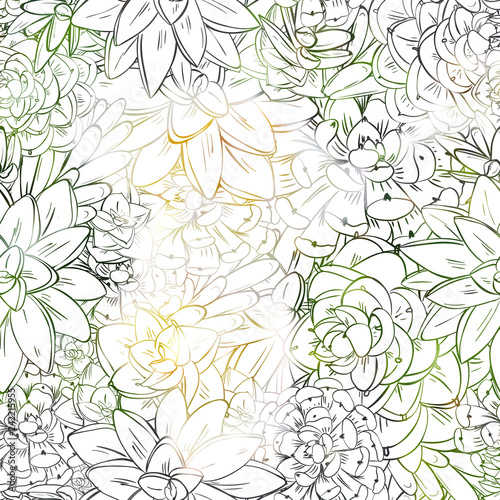 Seamless sucullent pattern. Color line art beautiful background photo