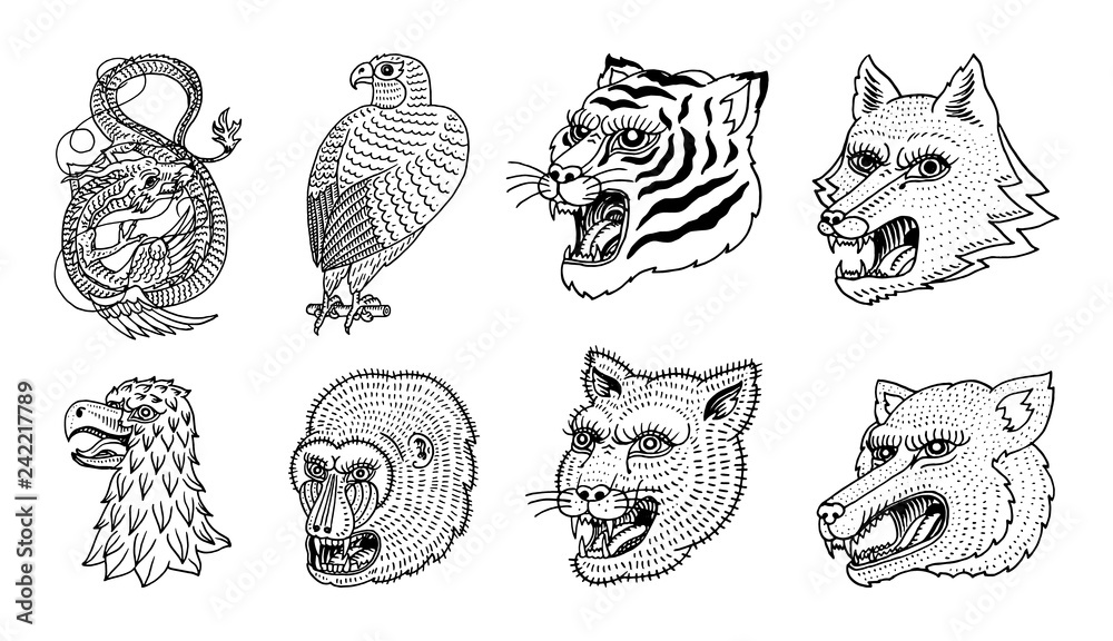 Head of Wild Animal Predator. Puma Wolf Fox Tiger Eagle Falcon Monkey Face  and Chinese Dragon. Japanese Style Portraits. Hand drawn Engraved  Monochrome Old Sketch for retro logos. Close up. Stock Vector
