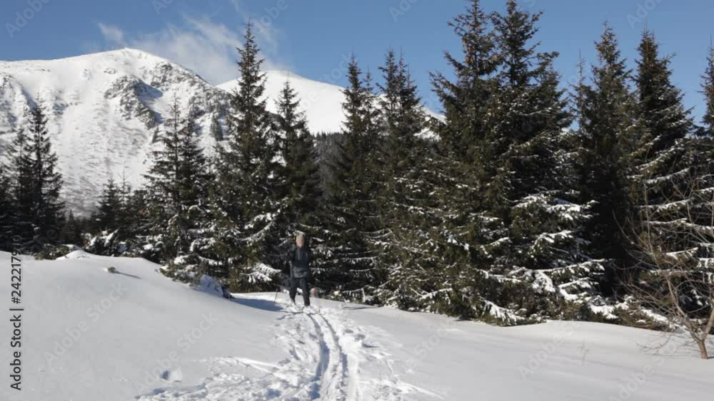 Hiker in ski trip Hiker in ski trip