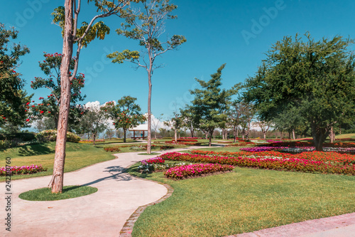 Beautiful green garden with flowerbeds surrounded by trees