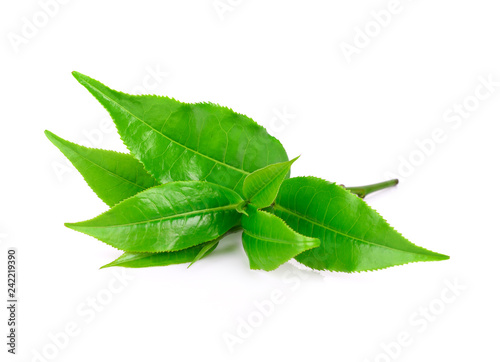 green tea leaf on white background