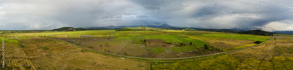 Panorama paddy field from bird eye view. Taken at Kota Belud,Sabah,Borneo Panorama paddy field from bird eye view. Taken at Kota Belud,Sabah,Borneo