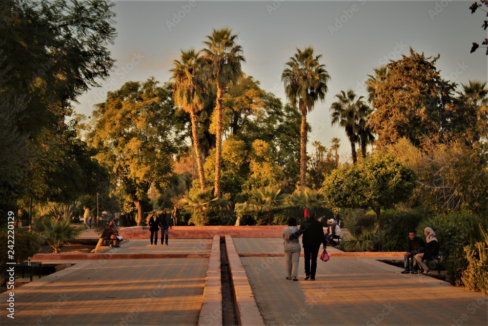 Trip to Morocco Africa. Marrakesh, Atlas Mountains Trip to Morocco Africa. Marrakesh, Atlas Mountains