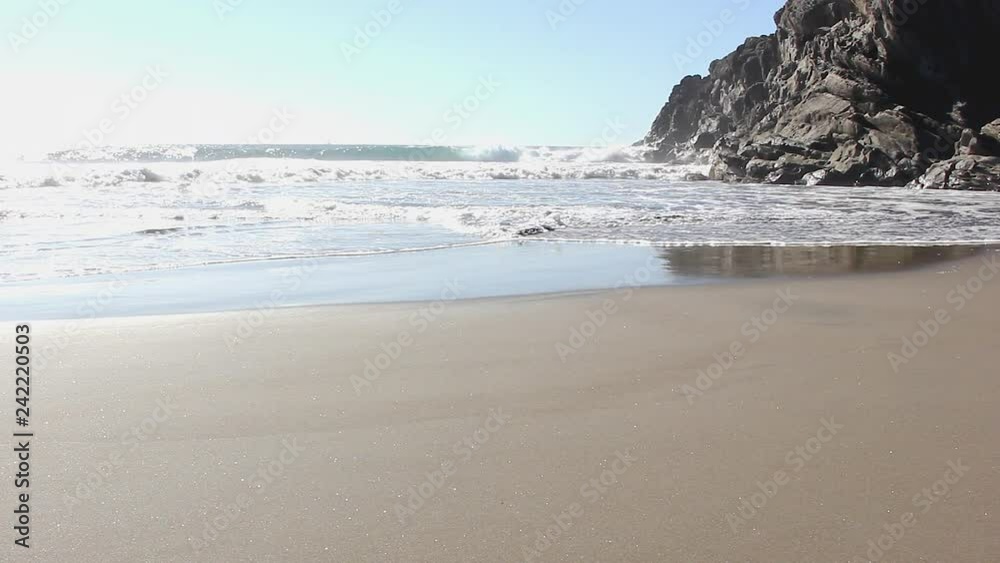 Golden retriever walking on sand by rocky beach on sunny day. Brown dog coming out of water on rough sea Golden retriever walking on sand by rocky beach on sunny day. Brown dog coming out of water on rough sea