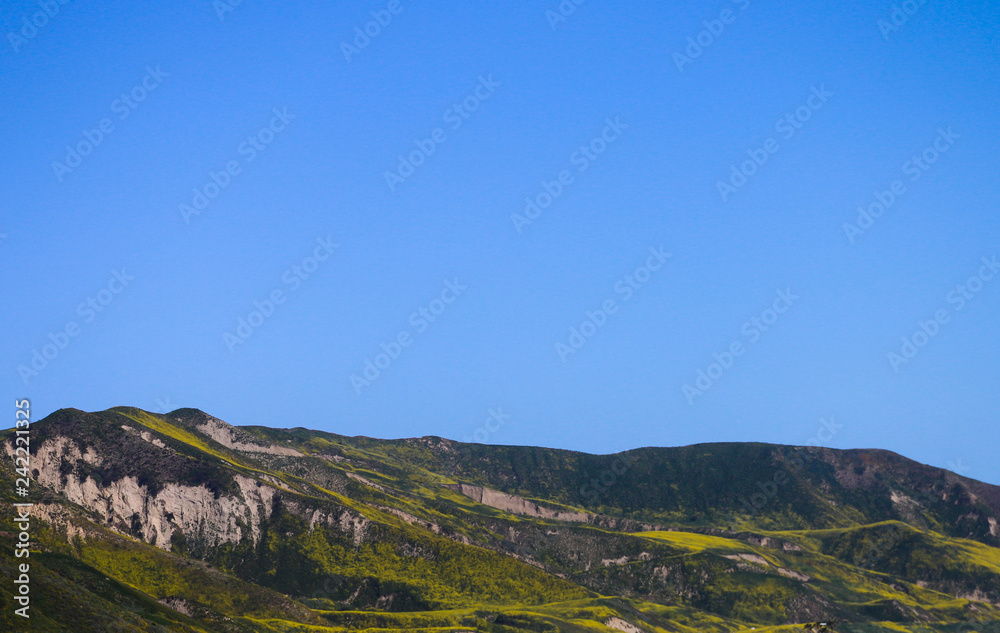 Mondos California Coast with Yellow flowers in Spring Mountains Simple 