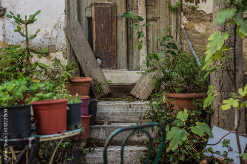 soft focus poor garden environment with wooden door concrete stairs and vases with plants in slum ghetto city district one of back yard apartment building