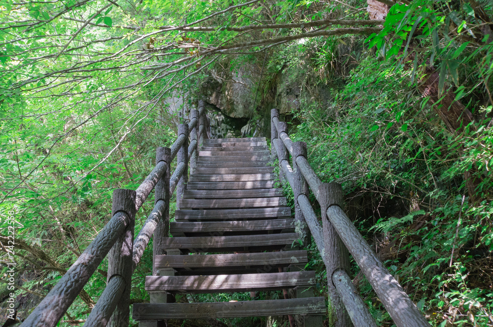 Wooden steps in the ground and railings ,the Mitarai ravine Nara. Wooden steps in the ground and railings ,the Mitarai ravine Nara.