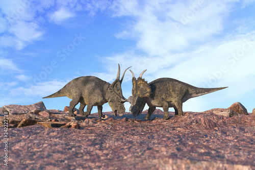 Fototapeta Naklejka Na Ścianę i Meble -  battle of dinosaurs render 3d