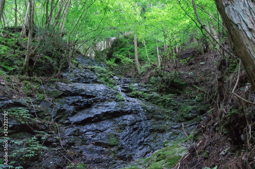 Fotografija Stone steps waterfall of the Mitarai ravine , in Nara.
