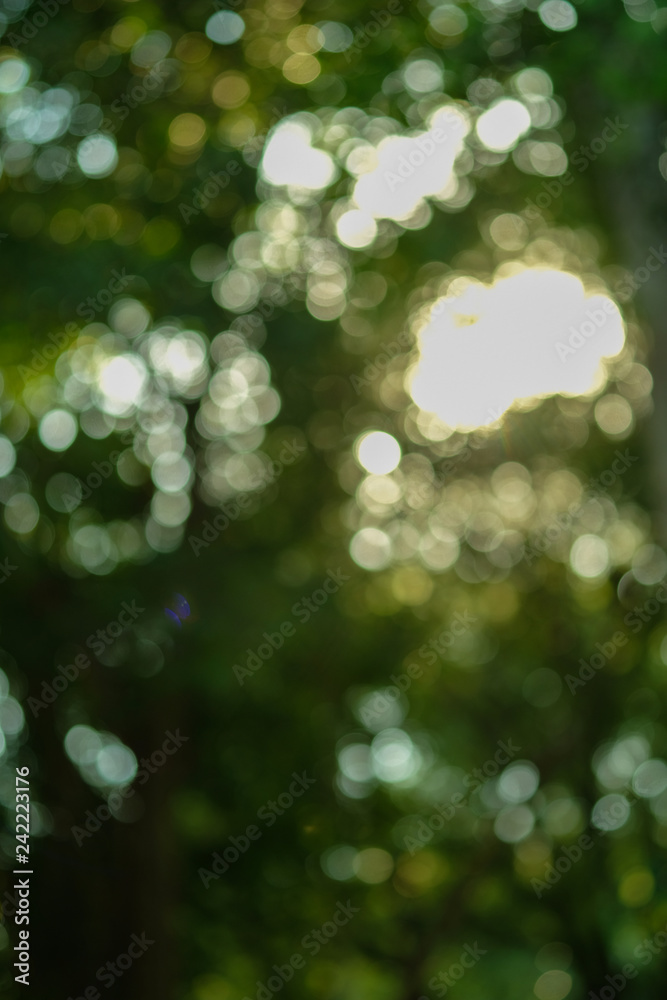 Blur with bokeh at park, light background. Blur with bokeh at park, light background.