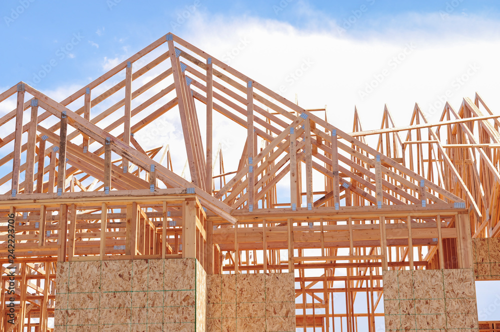 Naklejka premium Roof Trusses