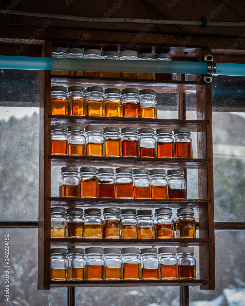 Maple syrup samples from each day's run Maple syrup samples from each day's run