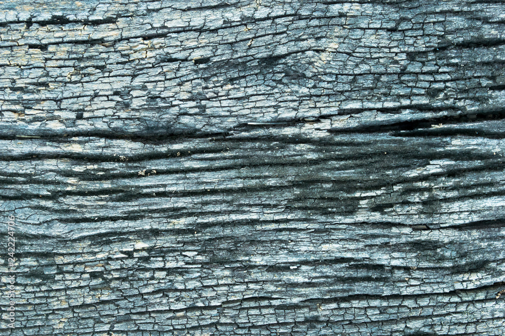 Old wood texture with natural Old wood texture with natural