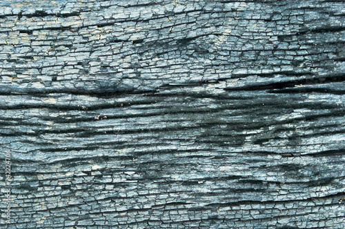 Old wood texture with natural