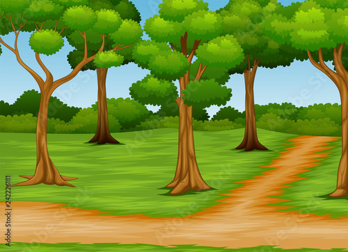 Cartoon of forest scene with dirt road