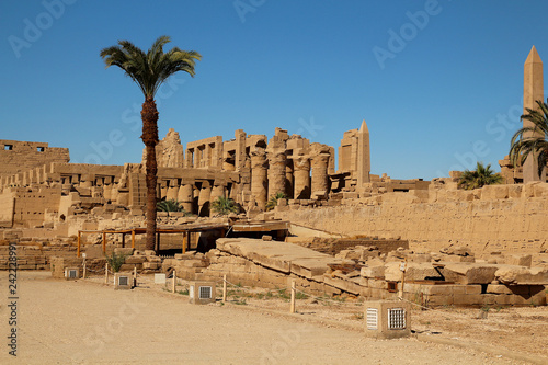 Ruins of pharaohs and palm trees in Luxor.