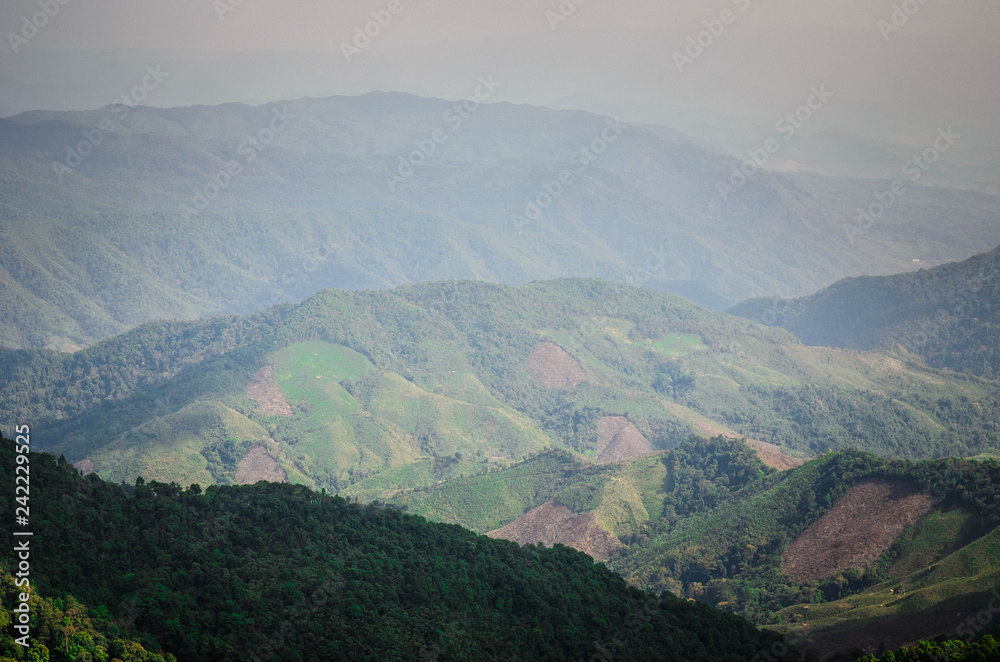Naklejka premium view on Doi Phu Kha in Afternoon, Nan province, Thailand