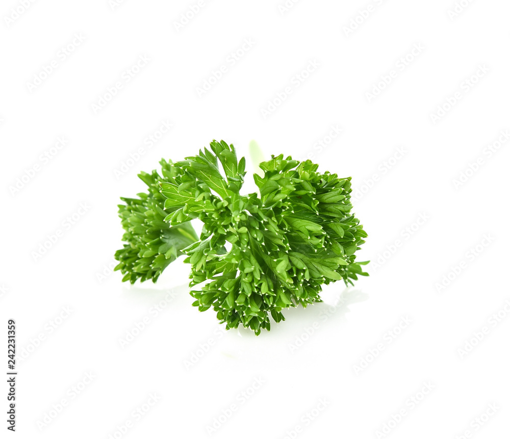 Fototapeta premium parsley isolated on white background