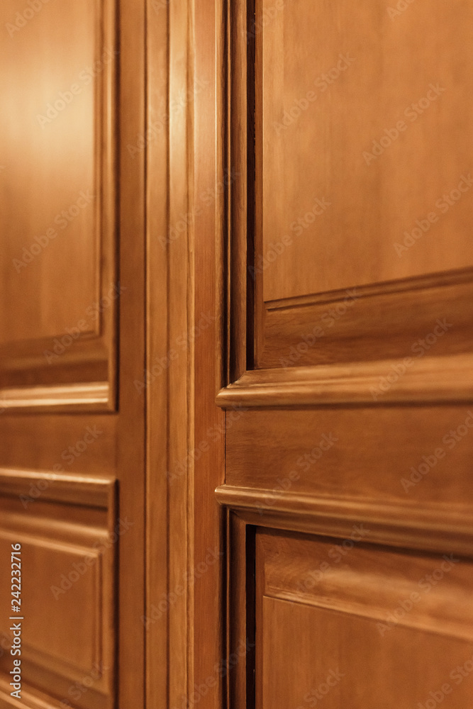 Wooden panel close up. Part of a wooden door or wall Wooden panel close up. Part of a wooden door or wall