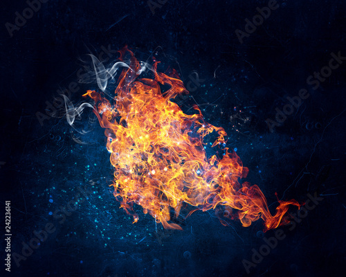 Fire burning bright © Sergey Nivens