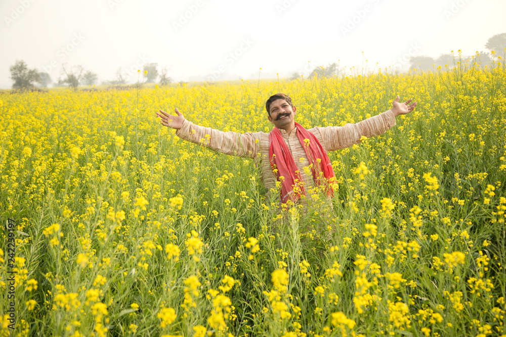 Farmer with arms outstretched in rapeseed field Farmer with arms outstretched in rapeseed field