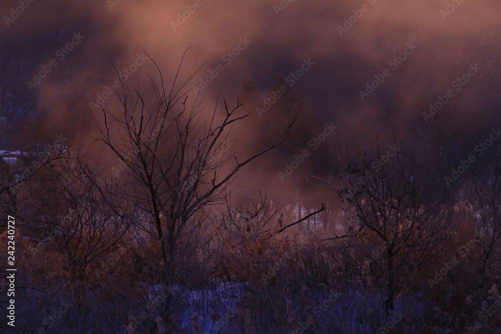 Obraz premium 夜明けの北上川