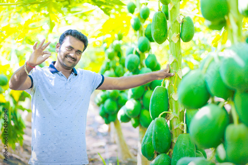 young indian farmer at papaya field