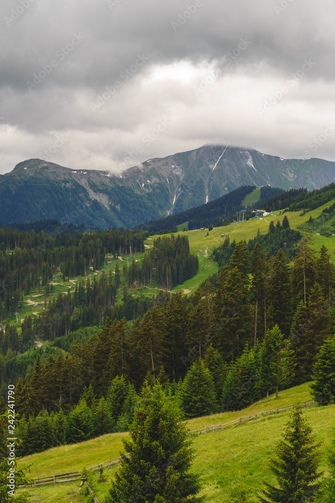 eine saftig grüne Baum und Weide Landschaft in den tiroler Alpen. Berge säumen den bewölten Himmel. Das hochformat Bild zeigt die Schönheit der tiroler Alpen an einem trüben Tag. eine saftig grüne Baum und Weide Landschaft in den tiroler Alpen. Berge säumen den bewölten Himmel. Das hochformat Bild zeigt die Schönheit der tiroler Alpen an einem trüben Tag.