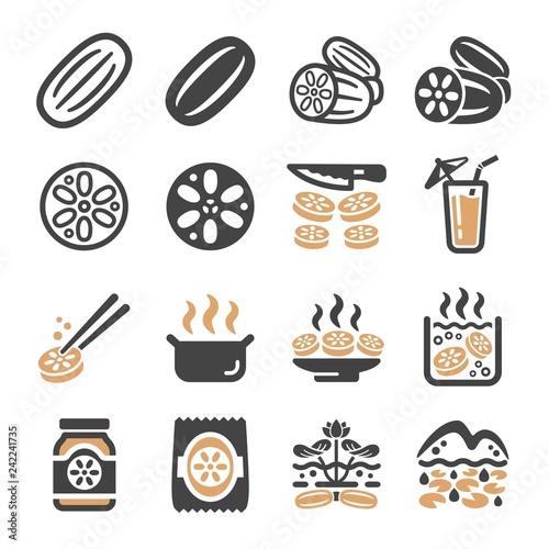 lotus root icon set,vector and illustration