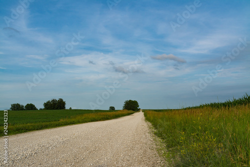 Dirt country road through rural farmland in the Midwest.  LaSalle County  Illinois  USA