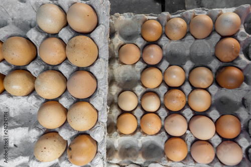 organic raw chicken eggs on tray container at market place