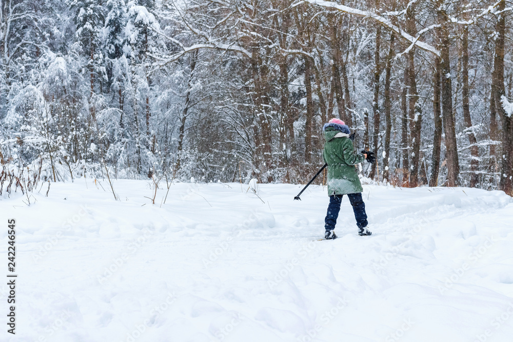 Woman walk in the winter wood. Snow-covered landscape