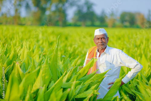 indian farmer at field photo