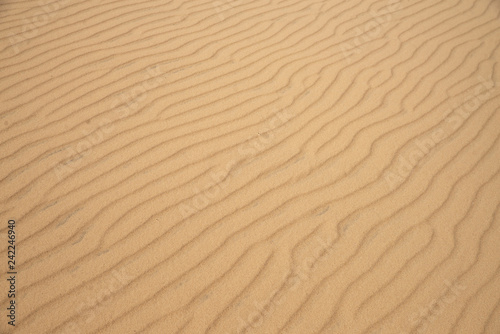 sand dune on the desert, background or texture